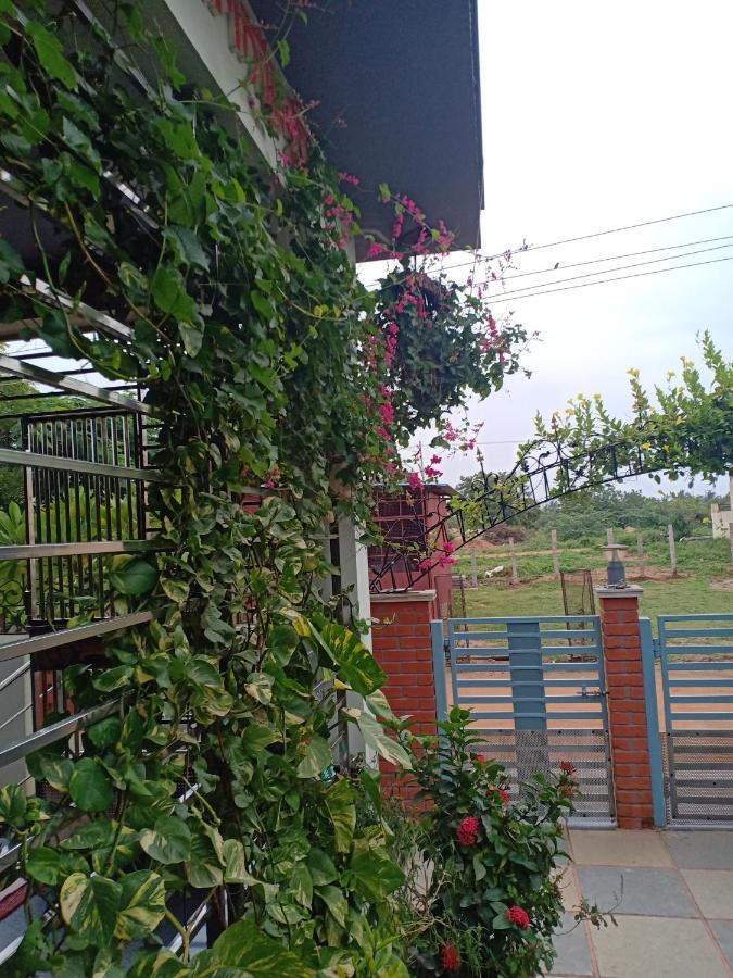Mango Tree Homestay Hampi Luaran gambar