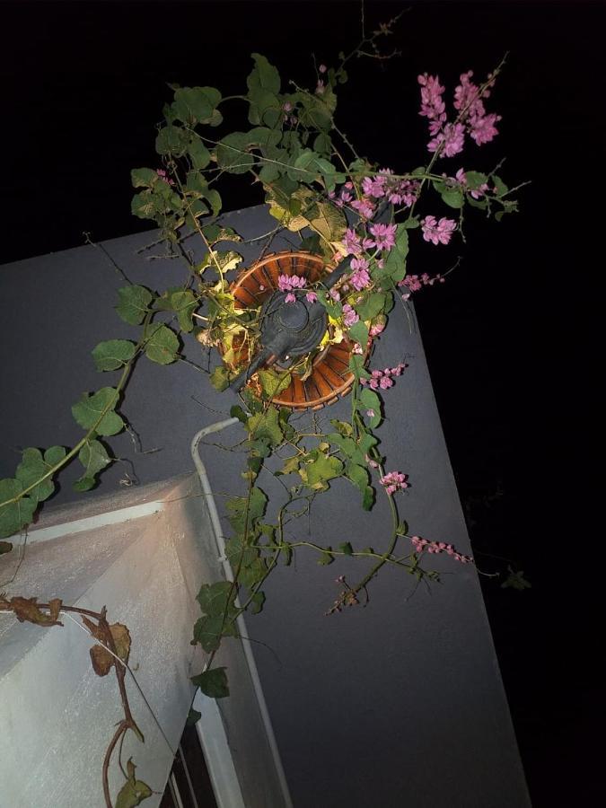 Mango Tree Homestay Hampi Luaran gambar