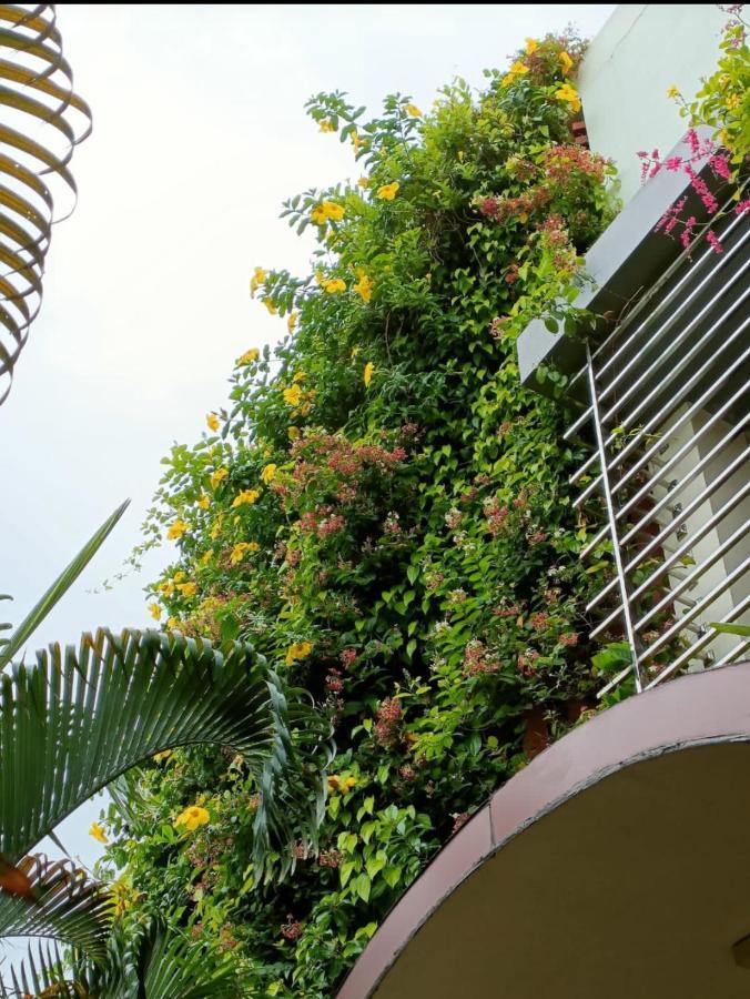 Mango Tree Homestay Hampi Luaran gambar
